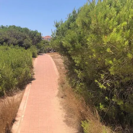 Near La Mata *